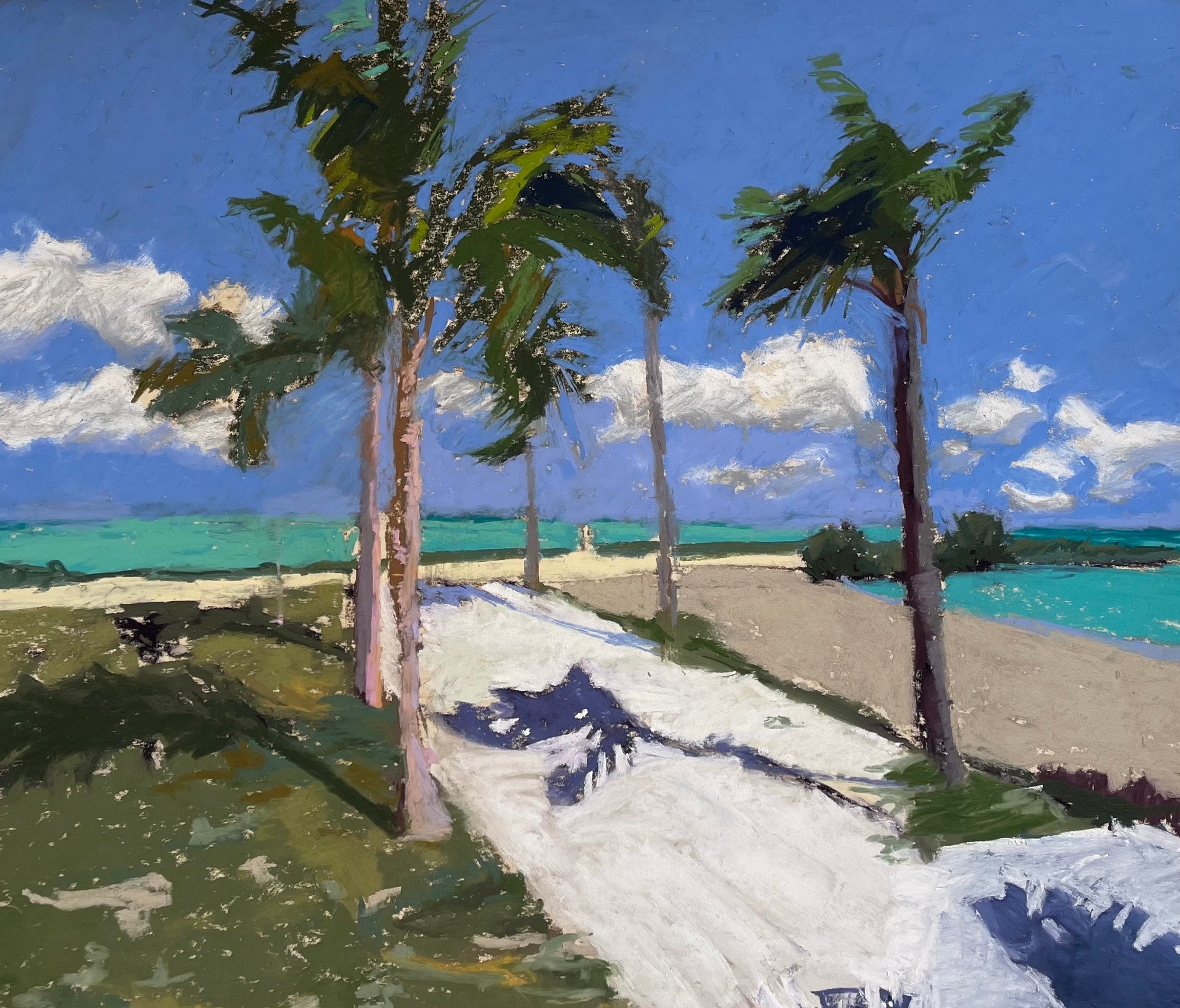 Sarasota Breeze