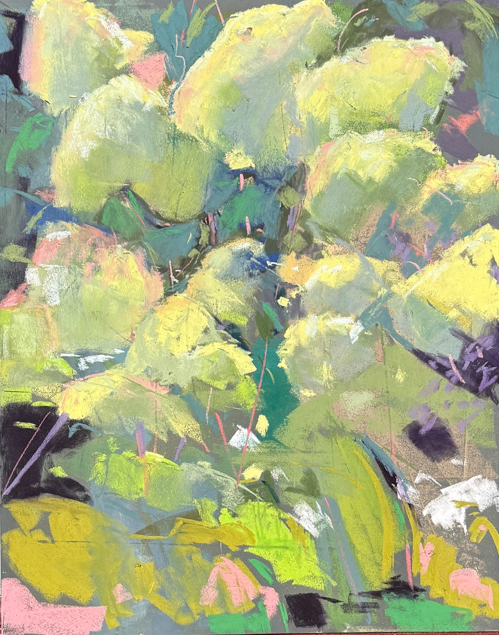 Hydrangeas